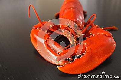 Front view of Boiled Atlantic Lobster Stock Photo