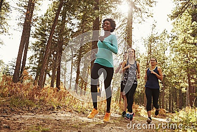 Front view of four adults running in a forest, low angle Stock Photo