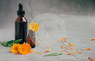Front view of glass bottles of calendula essential oil with fresh marigold. Stock Photo