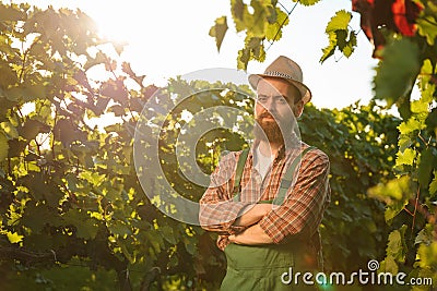Front view looking at camera young man winemaker farmer worker vineyard arms crossed on chest smile. Stock Photo