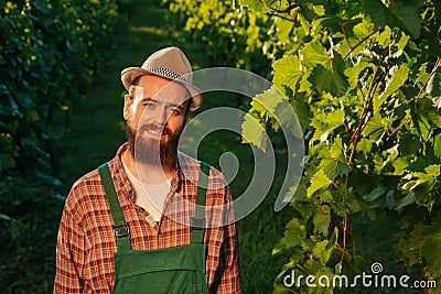 Front view looking at camera young winemaker male farmer happy wrinkles bright sun vineyard smile. Stock Photo