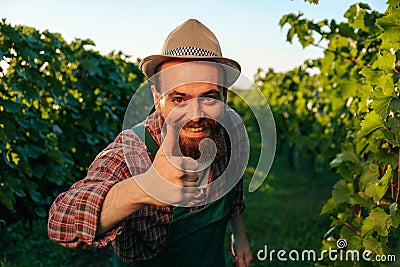 Front view looking at camera young winemaker male vineyard worker laugh thump up one hand happy. Stock Photo