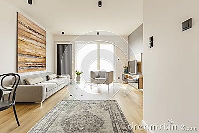 Front view of a modern living room interior with a vintage rug, Stock Photo