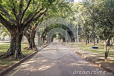 A front view of road in the park with peaceful concept Editorial Stock Photo