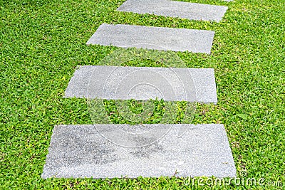 Front yard rock walkway between grasses Stock Photo