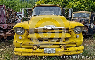 The front of a yellow 1956 Chevy 8500 truck in a junkyard in Ida Editorial Stock Photo