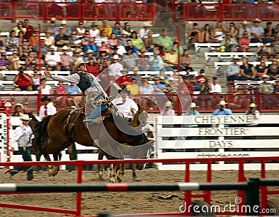 Frontier Days Bronco Buster Editorial Stock Photo