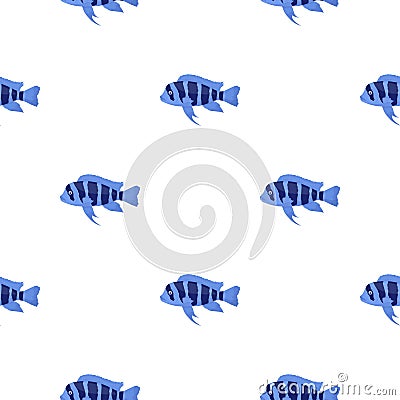 Frontosa Cichlid Cyphotilapia Frontosa fish icon cartoon. Singe aquarium fish icon from the sea,ocean life cartoon. Vector Illustration