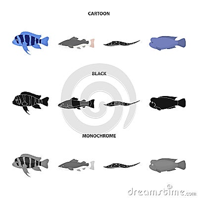 Frontosa, cichlid, phractocephalus hemioliopterus.Fish set collection icons in cartoon,black,monochrome style vector Vector Illustration