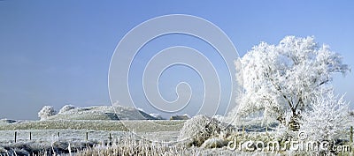 Frost covered landscape Stock Photo
