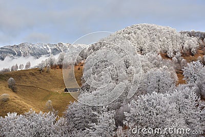Frost land in the Carpathian Mountain and Transylvania village Stock Photo