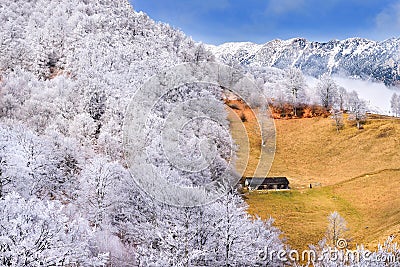 Frost land in the Carpathian Mountain and Transylvania village Stock Photo