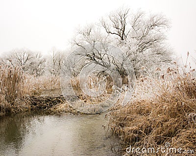 Frosted trees at the river Paar Stock Photo