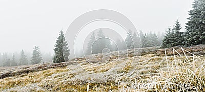 Frosted vegetation and forest on a hill next to a mountain hiking trail on a foggy day Stock Photo