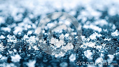 Frosting macro. Cold snow winter background. Blue crystal frozen abstract pattern. White frost ice texture. Stock Photo