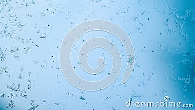 Frosting macro. Cold snow winter background. Blue crystal frozen abstract pattern. White frost ice texture. Stock Photo
