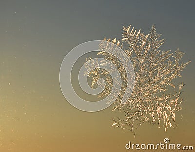 Frosting pattern on the window Stock Photo