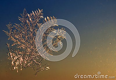 Frosting pattern on the window Stock Photo