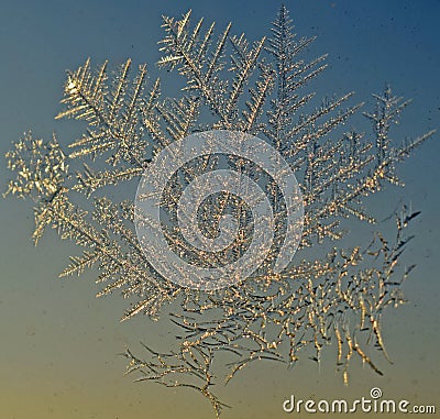 Frosting pattern on the window Stock Photo