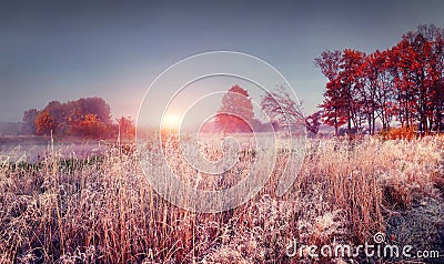 Frosty autumn landscape of november nature at sunrise. Scenery colorful autumn with hoarfrost Stock Photo