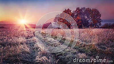 Frosty autumn landscape at sunrise on meadow. Colorful scenery autumn with hoarfrost on the grass and bright sun on horizon. Fall Stock Photo