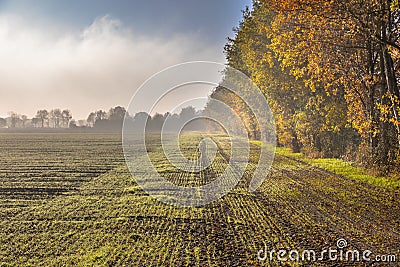 Hazy agricultural november landscape Stock Photo