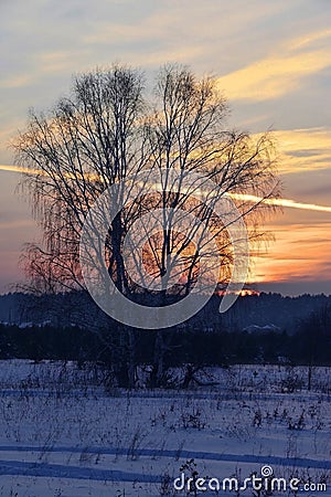 Frosty January sunset Stock Photo