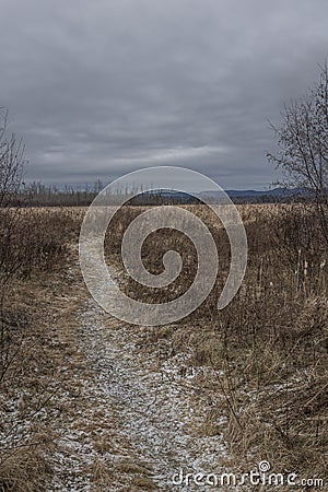 Frosty path through dried winter grass Stock Photo