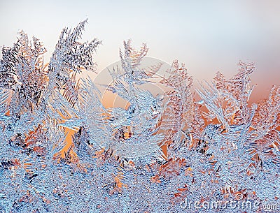 Frosty pattern Stock Photo