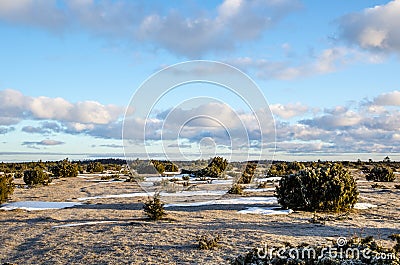 Springtime morning Stock Photo