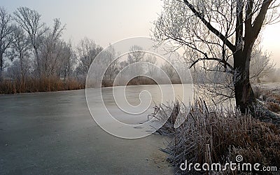 Frosty trees and backwater reflection in sunset time Stock Photo