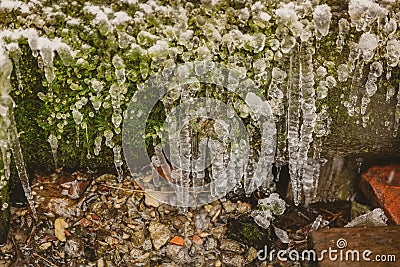 Frosty white icicles hanging from a rocky overhang micro-cave environment, moss and red stone Stock Photo