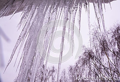 On a frosty winter day, large beautiful icicles hang from the snow-covered roof of the house. Snow on the roof. Stock Photo