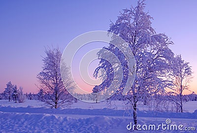 Frosty winter evening in Lapland beyond of Polar circle. Trees and moon on colorful sunset background Stock Photo