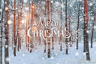 Frosty winter landscape in snowy forest. Xmas background with fir trees and blurred background of winter with text Merry Christmas Stock Photo