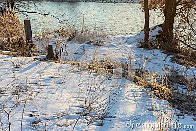 Frosty winter morning in nature, warm morning light on the background of snow, shrubs and trees in patterns of frost. Stock Photo