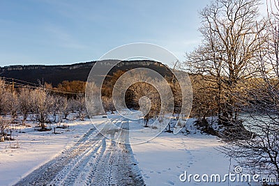 Frosty winter morning in nature, warm morning light on the background of snow, shrubs and trees in patterns of frost. Stock Photo