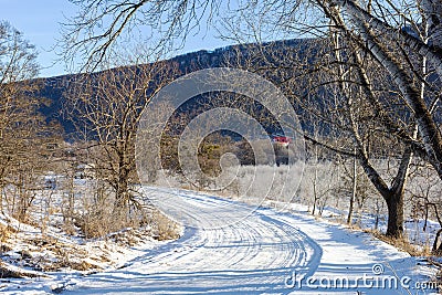 Frosty winter morning in nature, warm morning light on the background of snow, shrubs and trees in patterns of frost. Stock Photo