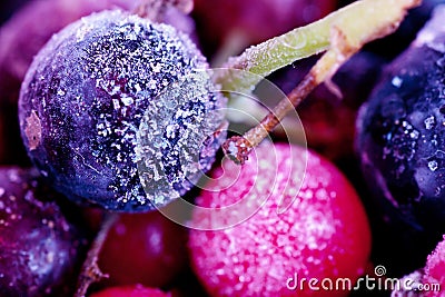 Frozen berries Stock Photo