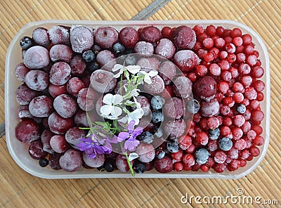 Frozen berries of cherry, black and red currant with beautiful hoarfrost. Stock Photo