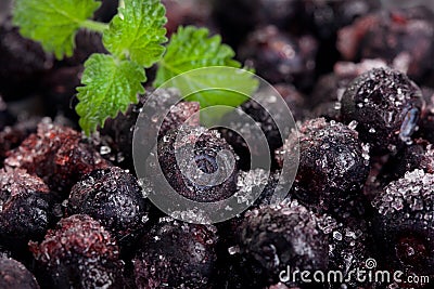 Frozen berry Stock Photo