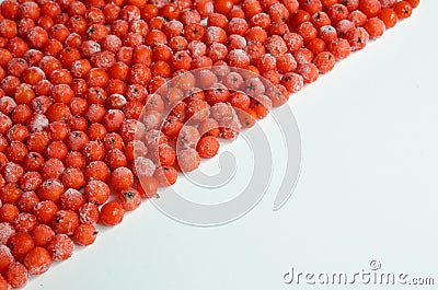 Frozen berry Stock Photo