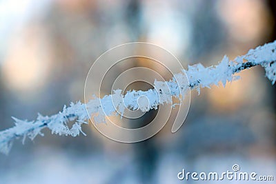 Texture of frost close up - black tree branches and white snow, winter lace fros Stock Photo