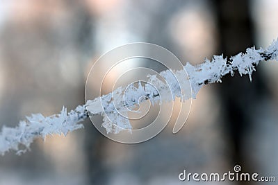 Texture of frost close up - black tree branches and white snow, winter lace fros Stock Photo