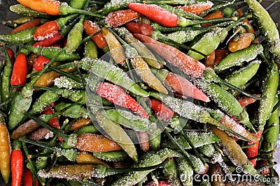 Frozen chili peppers stock photo Stock Photo