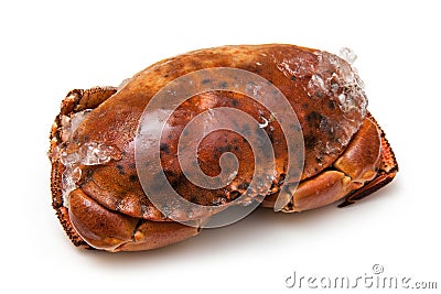 Frozen cooked edible brown crab Stock Photo