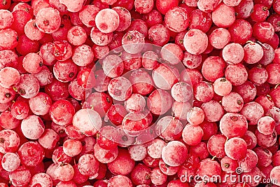 Frozen currant Stock Photo