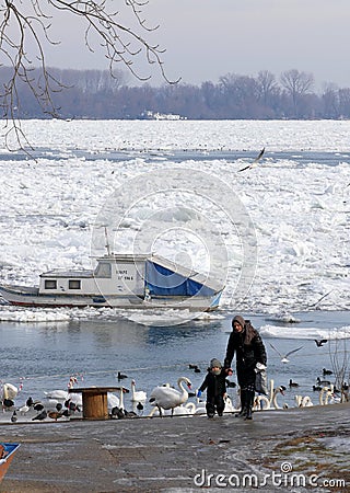 Frozen Danube river Editorial Stock Photo