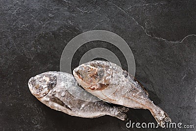 Frozen dorado fish or sea bream on slate stone background. Seafood, top view, flat lay, copy space Stock Photo