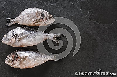 Frozen dorado or sea bream on slate stone background. Seafood, top view Stock Photo
